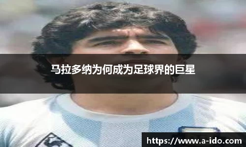 米兰体育官网